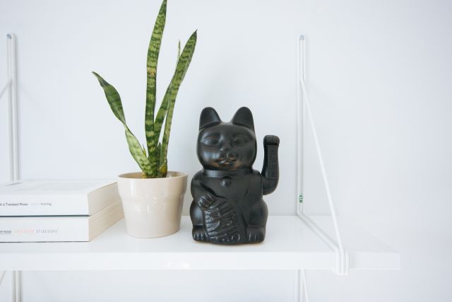 feng shui
