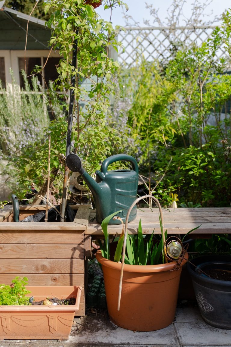 The Art & Health Benefits of Pottering